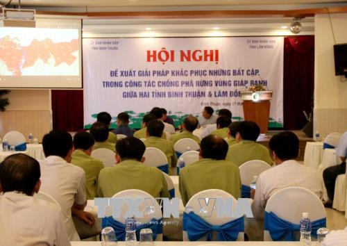 Tăng cường phối hợp chống phá rừng vùng giáp ranh hai tỉnh Bình Thuận - Lâm Đồng. Ảnh: Nguyễn Thanh - TTXVN Tăng cường phối hợp chống phá rừng vùng giáp ranh hai tỉnh Bình Thuận - Lâm Đồng. Ảnh: Nguyễn Thanh - TTXVN