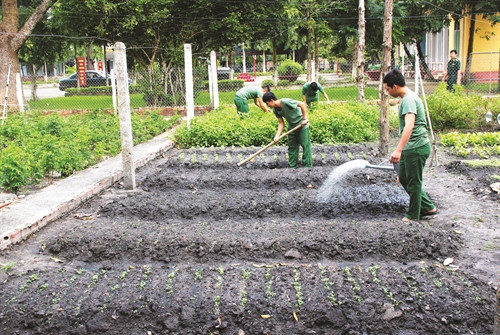 Trồng rau xanh, cải thiện bữa ăn cho cán bộ, chiến sĩ Đồn biên phòng Phước Tân (huyện Châu Thành) Trồng rau xanh, cải thiện bữa ăn cho cán bộ, chiến sĩ Đồn biên phòng Phước Tân (huyện Châu Thành)