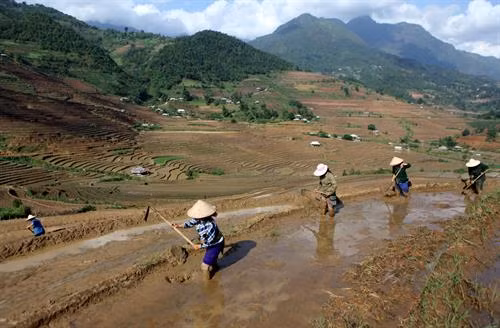 Người dân xã Tả Lèng, huyện Tam Đường tỉnh Lai Châu tập trung đắp bờ chuẩn bị cho một vụ mùa mới. Ảnh: Quý Trung - TTXVN