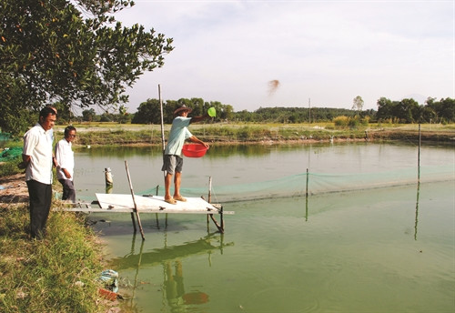 Chỉ dùng thuốc kháng sinh trong trường hợp thủy sản nhiễm bệnh do vi khuẩn Chỉ dùng thuốc kháng sinh trong trường hợp thủy sản nhiễm bệnh do vi khuẩn