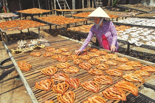 Cá lóc khô Châu Đốc, món ăn đặc sản của người dân miền Tây Cá lóc khô Châu Đốc, món ăn đặc sản của người dân miền Tây