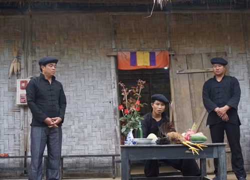 Trước khi vào lễ chính, trưởng họ mời thầy cúng tiền hành lễ trình tổ tiên với nghi thức cắt tiết gà Thầy cúng làm lễ báo cáo và mời tổ tiên về dự lễ và hưởng lễ vật con cháu dâng lên Điểm độc đáo trong trong nghi lễ này là những nam thanh niên khỏe mạnh buộc cỏ cây hoa lên lên người hóa trang thành Ma Cỏ để nhảy múa. Trống đồng là nhạc cụ duy nhất trong lễ cúng tổ tiên của người Lô Lô Các cô gái múa nghi lễ cùng Ma Cỏ theo nhịp trống đồng rộn rã tại bãi đất trống trước nhà giữa các phần cúng của thầy cúng Nghi lễ kết thúc, người trong gia đình đi mời rượu những người tham gia