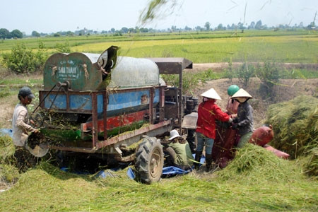 Cơ giới hóa trên những cánh đồng bất tận Cơ giới hóa trên những cánh đồng bất tận