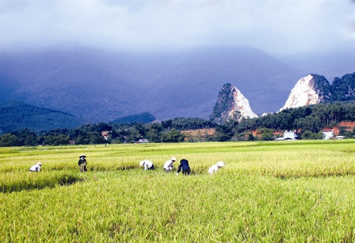 Ngày mùa trên cánh đồng ATK Yên Sơn Yên Sơn luôn chú trọng công tác chăm sóc sức khỏe cho đồng bào Sản xuất tăm tre - nghề phụ đem lại thu nhập cho nhiều hộ đồng bào dân tộc Với mục tiêu phát triển nông nghiệp theo hướng sản xuất hàng hóa, những năm qua, diện tích chè của xã Mỹ Bằng, huyện Yên Sơn không ngừng được mở rộng Đồng bào dân tộc ở vùng ATK Yên Sơn tra cứu thông tin trên mạng internet để ứng dụng vào lao động, sản xuất Phiên chợ vùng cao của đồng bào các dân tộc Ngày mùa trên cánh đồng ATK Yên Sơn Yên Sơn luôn chú trọng công tác chăm sóc sức khỏe cho đồng bào Sản xuất tăm tre - nghề phụ đem lại thu nhập cho nhiều hộ đồng bào dân tộc Với mục tiêu phát triển nông nghiệp theo hướng sản xuất hàng hóa, những năm qua, diện tích chè của xã Mỹ Bằng, huyện Yên Sơn không ngừng được mở rộng Đồng bào dân tộc ở vùng ATK Yên Sơn tra cứu thông tin trên mạng internet để ứng dụng vào lao động, sản xuất Phiên chợ vùng cao của đồng bào các dân tộc