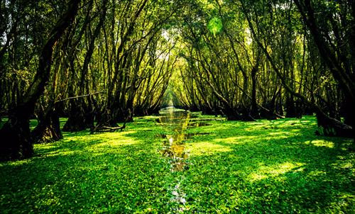 Về miền sông nước An Giang ảnh 2 Về miền sông nước An Giang ảnh 2