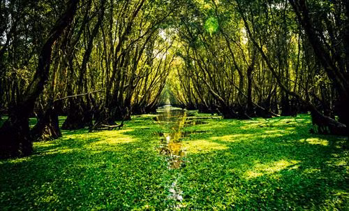 Về miền sông nước An Giang ảnh 2