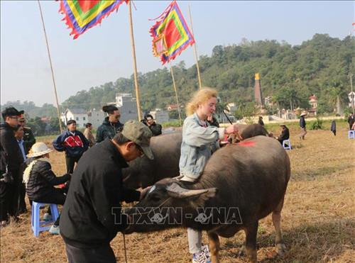 Nữ họa sỹ người Nga tham gia Hội thi vẽ trang trí trâu Lễ hội Tịch điền Đọi Sơn 2020. Ảnh: Nguyễn Chinh - TTXVN Nữ họa sỹ người Nga tham gia Hội thi vẽ trang trí trâu Lễ hội Tịch điền Đọi Sơn 2020. Ảnh: Nguyễn Chinh - TTXVN