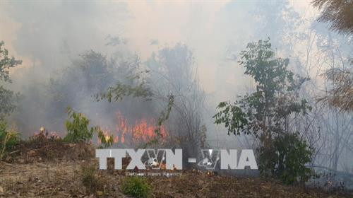 Đám cháy bùng phát mạnh tại lâm phần Ban quản lý rừng phòng hộ Ia Grai, thuộc địa phận xã Ia Chía, huyện Ia Grai, tỉnh Gia Lai. Ảnh: Hồng Điệp – TTXVN Đám cháy bùng phát mạnh tại lâm phần Ban quản lý rừng phòng hộ Ia Grai, thuộc địa phận xã Ia Chía, huyện Ia Grai, tỉnh Gia Lai. Ảnh: Hồng Điệp – TTXVN