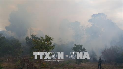 Lực lượng chữa cháy nỗ lực dập tắt lửa, không cho lan rộng. Ảnh: Hồng Điệp – TTXVN Lực lượng chữa cháy nỗ lực dập tắt lửa, không cho lan rộng. Ảnh: Hồng Điệp – TTXVN