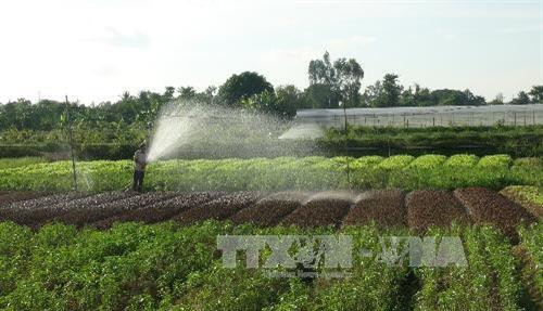 Mô hình trồng màu theo tiêu chuẩn VietGap tại huyện Chợ Mới, tỉnh An Giang. Ảnh: Thu Trang - TTXVN Mô hình trồng màu theo tiêu chuẩn VietGap tại huyện Chợ Mới, tỉnh An Giang. Ảnh: Thu Trang - TTXVN