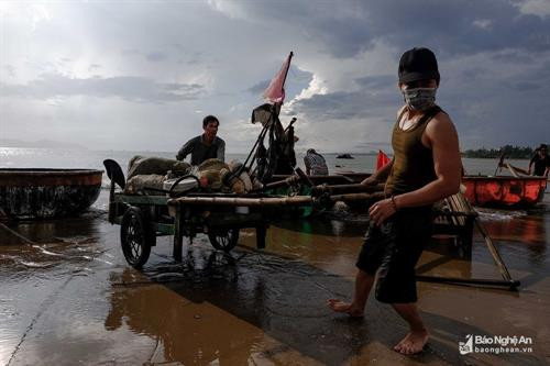 Cửa Lò chớm thu ảnh 7 Cửa Lò chớm thu ảnh 7