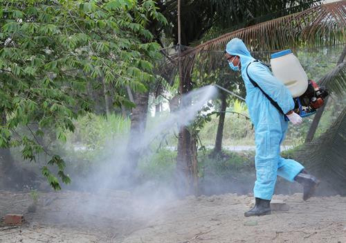 Giảm nguy cơ lây bệnh từ động vật sang người ảnh 2