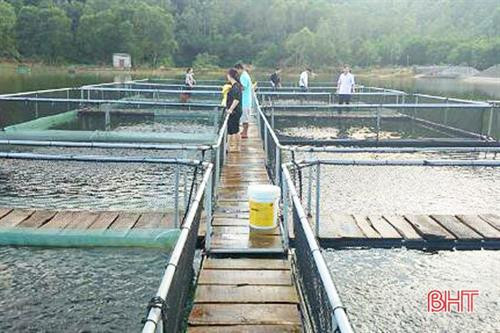 Hệ thống lồng nuôi dễ dàng thích nghi với những nơi có sóng to gió lớn. Ảnh: baohatinh.vn Hệ thống lồng nuôi dễ dàng thích nghi với những nơi có sóng to gió lớn. Ảnh: baohatinh.vn