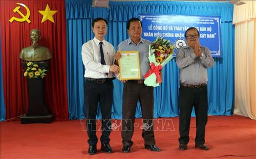 Đại diện Cục Sở hữu trí tuệ (trái) trao bằng chứng nhận nhãn hiệu "Lợn Mỏ Cày Nam" cho đại diện UBND huyện Mỏ Cày Nam. Ảnh: Trần Thị Thu Hiền - TTXVN