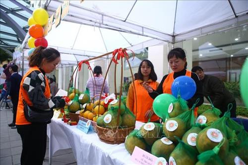 Gian hàng của các chi đoàn tại Hội chợ xanh 2020. Ảnh: Minh Quyết - TTXVN Gian hàng của các chi đoàn tại Hội chợ xanh 2020. Ảnh: Minh Quyết - TTXVN