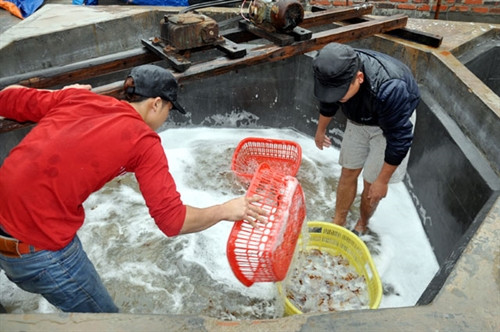 Bể ngâm sứa ở xưởng nhà ông Nguyễn Văn Đàn. Bể ngâm sứa ở xưởng nhà ông Nguyễn Văn Đàn.