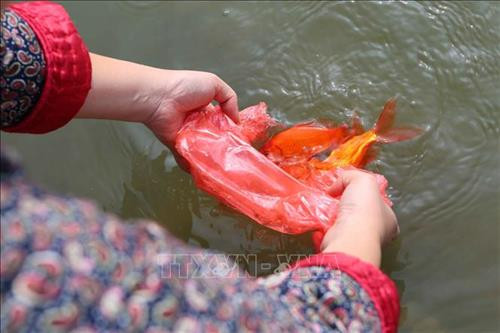 Người dân thủ đô thủ đô thả cá chép tại khu vực hồ Ngọc Khánh. Ảnh: Thành Đạt – TTXVN Người dân thủ đô thủ đô thả cá chép tại khu vực hồ Ngọc Khánh. Ảnh: Thành Đạt – TTXVN