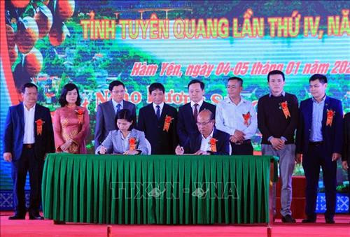 Các đơn vị, doanh nghiệp ký kết bao tiêu sản phẩm cam sành Hàm Yên. Ảnh: Quang Cường – TTXVN Các đơn vị, doanh nghiệp ký kết bao tiêu sản phẩm cam sành Hàm Yên. Ảnh: Quang Cường – TTXVN