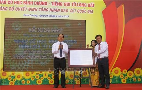 Công bố quyết định công nhận Bảo vật quốc gia "Mộ chum gỗ nắp trống đồng Phú chánh". Ảnh: Hải Âu - TTXVN