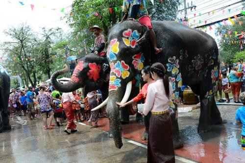 Tắm cho voi là nghi lễ không thể thiếu trong Tết té nước ở Ayutthaya.