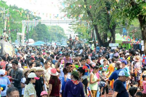 Những chú voi rất thân thiện với người.