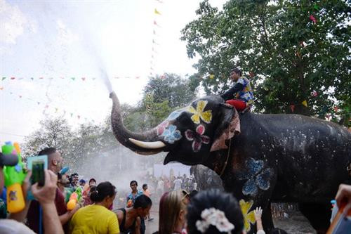 Những chú voi phun nước đáp lễ, mang ý nghĩa cầu chúc may mắn cho du khách.