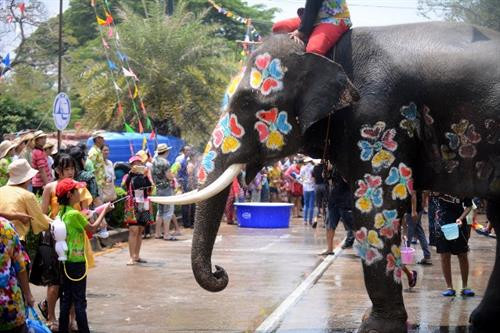 Phun nước cho voi cầu may mắn.