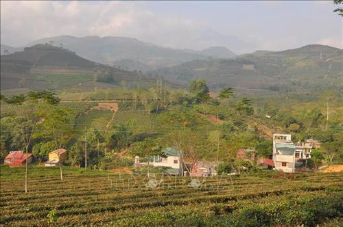 15 hộ dân sinh sống ở chân đồi Cao, tổ 9, thị trấn Nông trường Liên Sơn đang sống trong cảnh nơm nớp lo sợ khi mùa mưa đến. Ảnh: Tuấn Anh -TTXVN 15 hộ dân sinh sống ở chân đồi Cao, tổ 9, thị trấn Nông trường Liên Sơn đang sống trong cảnh nơm nớp lo sợ khi mùa mưa đến. Ảnh: Tuấn Anh -TTXVN