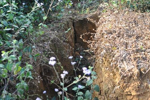 Hiện trạng vết rạn nứt rộng 1 mét trên đồi Cao. Ảnh: Tuấn Anh -TTXVN Hiện trạng vết rạn nứt rộng 1 mét trên đồi Cao. Ảnh: Tuấn Anh -TTXVN