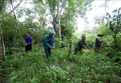 Nhân dân xã Trung Đồng, huyện Tân Uyên, phát quang thực bì nhằm phòng cháy chữa cháy rừng khi thời tiết sắp chuyển sang mùa khô. Ảnh: Quý Trung – TTXVN Nhân dân xã Trung Đồng, huyện Tân Uyên, phát quang thực bì nhằm phòng cháy chữa cháy rừng khi thời tiết sắp chuyển sang mùa khô. Ảnh: Quý Trung – TTXVN