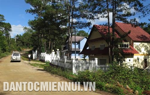 Các khu biệt thự nằm biệt lập giữa rừng thông là điểm đến ưa thích của nhiều du khách. Ảnh: Quang Thái