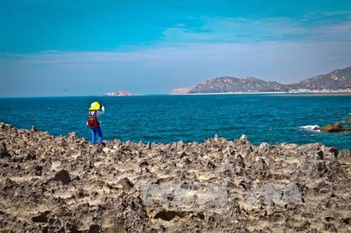 Vẻ đẹp hoang sơ của điểm du lịch Hang Rái. Ảnh: Trọng Đạt/TTXVN Vẻ đẹp hoang sơ của điểm du lịch Hang Rái. Ảnh: Trọng Đạt/TTXVN