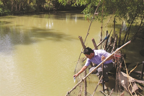 Ông Lý Thanh Bình, Phó Chủ tịch Hội nông dân xã Lâm kiết, huyện Thành Trị đo mức độ nước nhiễm mặn Ông Lý Thanh Bình, Phó Chủ tịch Hội nông dân xã Lâm kiết, huyện Thành Trị đo mức độ nước nhiễm mặn