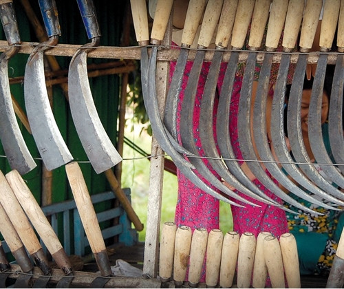 Sản phẩm ở đây chủ yếu phục vụ sản xuất nông nghiệp.