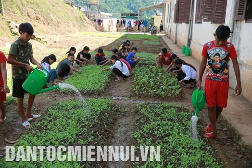 Thầy cô quan tâm chăm sóc và gần gũi học sinh chính là nguồn động viên lớn để các em vượt núi đến trường. Ảnh: An Thành Đạt Ngoài giờ học, các học sinh tham gia trồng rau xanh, nuôi lợn để cải thiện bữa ăn và rèn luyện thêm kỹ năng sống. Ảnh: An Thành Đạt