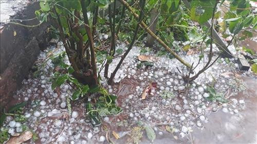 Mưa đá tại trung tâm huyện Mường Nhé. Ảnh: Xuân Tư – TTXVN Mưa đá tại trung tâm huyện Mường Nhé. Ảnh: Xuân Tư – TTXVN