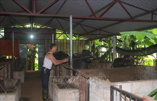 Mô hình di dời chuồng trại, thực hiện chăn nuôi tập trung ở xã Đàm Thủy, huyện Trùng Khánh, tỉnh Cao Bằng. Ảnh: Chu Hiệu – TTXVN Mô hình di dời chuồng trại, thực hiện chăn nuôi tập trung ở xã Đàm Thủy, huyện Trùng Khánh, tỉnh Cao Bằng. Ảnh: Chu Hiệu – TTXVN