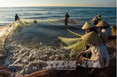 Kéo rùng - nghề truyền thống độc đáo của ngư dân xứ Thanh ảnh 3