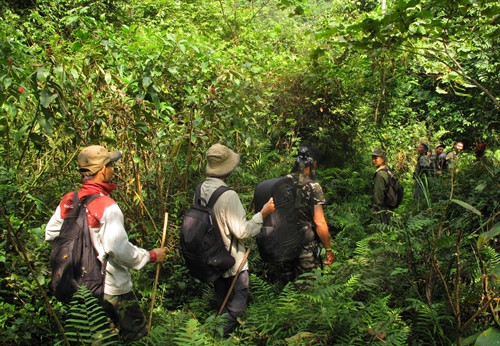 Lực lượng Kiểm lâm và các nhà khoa học Việt Nam trong chuyến đi tuần tra, khảo sát đa dạng sinh học rừng nguyên sinh Khau Ca cuối tháng 10/2016. Lực lượng Kiểm lâm và các nhà khoa học Việt Nam trong chuyến đi tuần tra, khảo sát đa dạng sinh học rừng nguyên sinh Khau Ca cuối tháng 10/2016.
