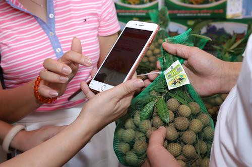 Hà Nội quảng bá, xúc tiến tiêu thụ đặc sản nhãn chín muộn ảnh 11
