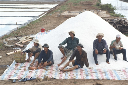 Giá thấp, không đầu ra, diêm dân Bạc Liêu không còn thiết tha, muốn bỏ nghề muối. Giá thấp, không đầu ra, diêm dân Bạc Liêu không còn thiết tha, muốn bỏ nghề muối.