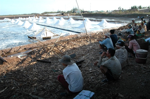 Giá thấp, không đầu ra, diêm dân Bạc Liêu không còn thiết tha, muốn bỏ nghề muối. Giá thấp, không đầu ra, diêm dân Bạc Liêu không còn thiết tha, muốn bỏ nghề muối.