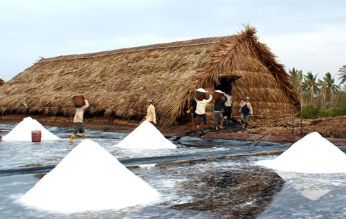 Diêm dân huyện Đông Hải phải xây dựng nhà trữ muối do giá thấp, không người mua. Diêm dân huyện Đông Hải phải xây dựng nhà trữ muối do giá thấp, không người mua.