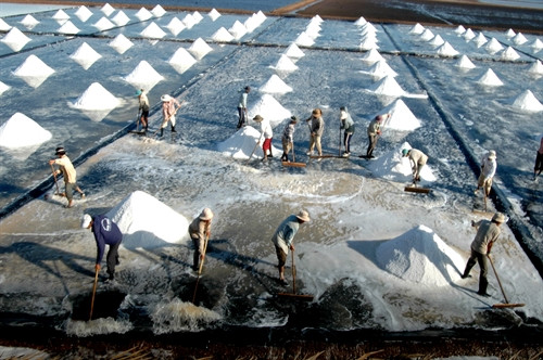 Muối được chất thành đống tại ruộng. Muối được chất thành đống tại ruộng.