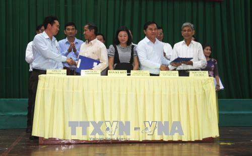 Đại diện các doanh nghiệp, tổ hợp tác, hợp tác xã chăn nuôi bò ký kết biên bản ghi nhớ về việc tiêu thụ thị bò, sữa bò. Ảnh: Bùi Giang - TTXVN Đại diện các doanh nghiệp, tổ hợp tác, hợp tác xã chăn nuôi bò ký kết biên bản ghi nhớ về việc tiêu thụ thị bò, sữa bò. Ảnh: Bùi Giang - TTXVN