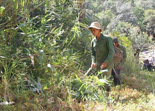 Người dân huyện Krông Bông, Đắk Lắk phát dọn thực bì, phòng chống cháy rừng diện tích rừng được Vườn quốc gia Chư Yang giao khoán. Ảnh: Phạm Cường-TTXVN Người dân huyện Krông Bông, Đắk Lắk phát dọn thực bì, phòng chống cháy rừng diện tích rừng được Vườn quốc gia Chư Yang giao khoán. Ảnh: Phạm Cường-TTXVN