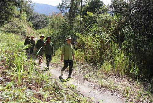 Tổ công tác bảo vệ, phòng chống cháy rừng Vườn quốc gia Chư Yang Sin đi tuần tra khu vực trọng điểm, có nguy cơ cháy rừng cao. Ảnh: Phạm Cường-TTXVN Tổ công tác bảo vệ, phòng chống cháy rừng Vườn quốc gia Chư Yang Sin đi tuần tra khu vực trọng điểm, có nguy cơ cháy rừng cao. Ảnh: Phạm Cường-TTXVN