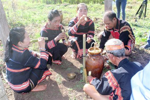 Trước khi làm Lễ mừng lúa mới, thầy cúng làm Lễ đưa hồn lúa về nhà kho và xin phép thần lúa cho người dân được gặt lúa đem về kho. Người thu hoạch lúa phải vuốt bằng tay để không làm cây lúa bị đau, thần lúa mới ở lại với gia chủ Sau đó, thầy cúng đặt các lễ vật về phía Đông và thực hiện các nghi thức rước lúa với mong muốn mong mùa rẫy mới mưa thuận gió hòa, mùa màng tươi tốt Sau khi làm lễ xong, thầy cúng mời người phụ nữ là chủ ruộng lúa uống rượu cần. Theo phong tục, người uống phải say, rượu cần phải cạn thì vụ mùa năm sau sẽ càng nhiều lúa. Sau phần lễ rước hồn lúa về kho, người dân tổ chức dã gạo để lựa ra những hạt gạo tốt nhất Những âm thanh gọi thần lúa về kho Sau khi mọi lễ vật đã chuẩn bị đầy đủ, thầy cúng thực hiện nghi thức cúng các vị thần linh ở kho lúa mới để tạ ơn thần Đất - Trời, Núi - Rừng. Tiếp đó là Lễ cúng lúa mới và cúng sức khỏe cho già làng với đầy đủ các lễ vật: cơm lúa mới, rượu cần, heo, gà... Thầy cúng khấn niệm với mong muốn cầu chúc mọi người sức khỏe, gia đình hạnh phúc, mùa màng bội thu. Sau khi cúng xong, thầy cúng mời người nữ, chủ ruộng lên uống rượu cần. Phần lễ vật và rượu cần còn lại được chia cho tất cả những người được mời tham dự.. . Người dân và du khách cùng chung vui Múa hát quanh cây nêu trong ngày hội ... cồng chiêng "Mừng lúa mới được mùa" kết hợp với những điệu múa xoang đầy uyển chuyển trong "Mọi người ơi, hòa cùng nhịp xoang Gia Rai" Một hình ảnh không thể thiếu trong các nghi lễ của người Gia Rai chính là biểu tượng của những chú chim, có thể bay lên cao đến xứ sở các thần linh đem theo lời cầu xin của con người.