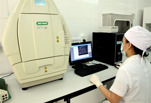 Ảnh minh họa- TTXVN Ảnh minh họa- TTXVN