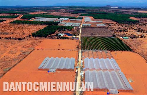 Trang trại trồng dưa lưới và thanh long theo mô hình nông nghiệp công nghệ cao của Công ty cổ phần Nông nghiệp công nghệ cao Đông Á trên vùng “tiểu sa mạc” thuộc xã Hòa Thắng (huyện Bắc Bình, tỉnh Bình Thuận) với 16 nhà màng trồng dưa dưới và 2ha thanh long trồng theo giàn. Ảnh: Phúc Thanh